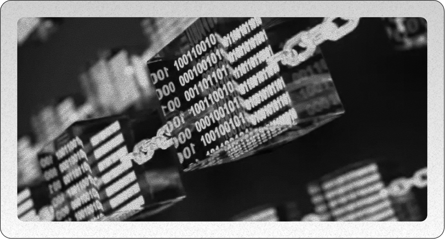 Crypto Labs Brand Marketing Scheme Example 2